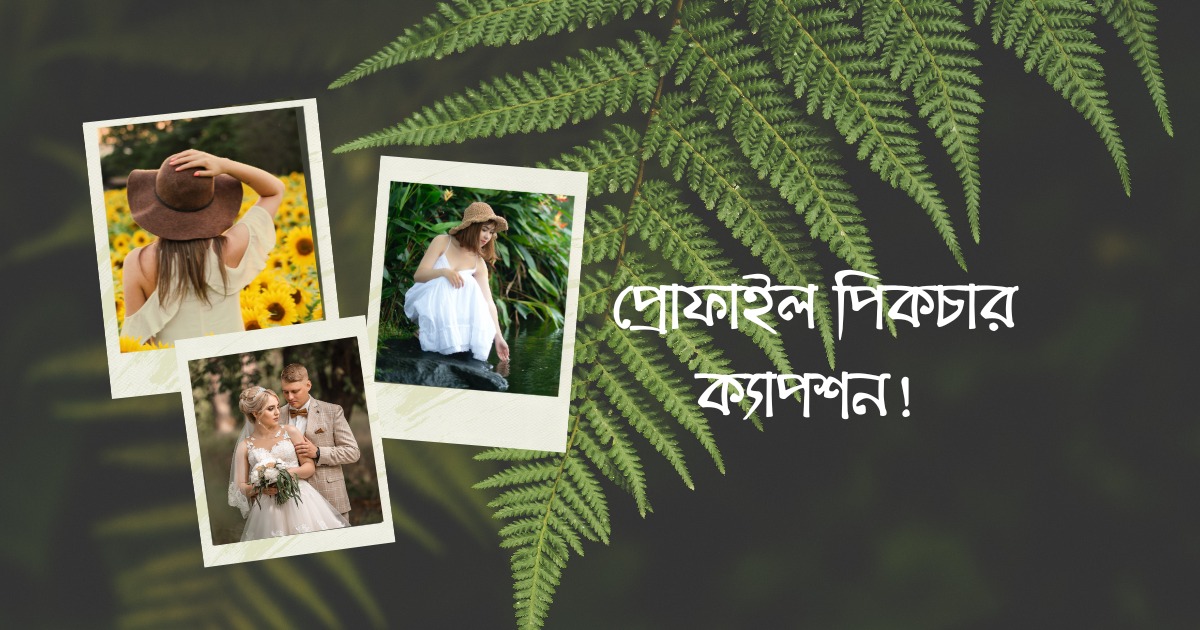 প্রোফাইল পিকচার ক্যাপশন